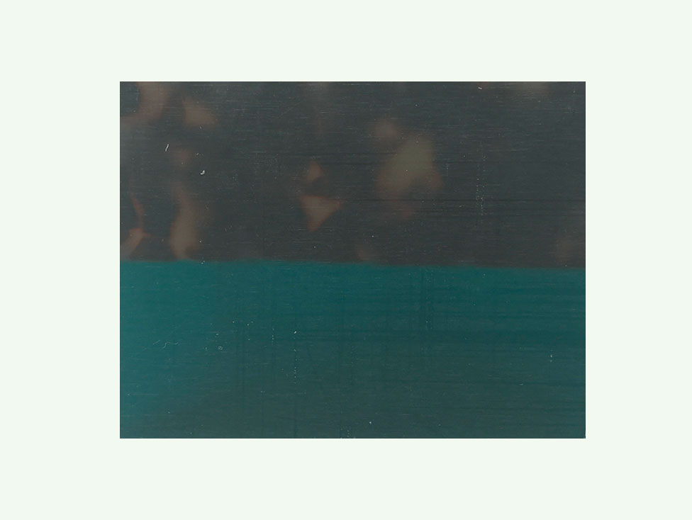 Hawksbill puzzle board